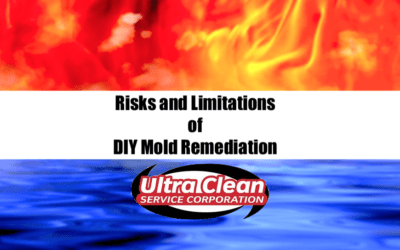 Risks and Limitations of DIY Mold Remediation