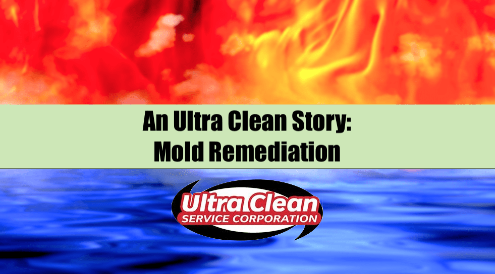 An Ultra Clean Story: Mold Remediation